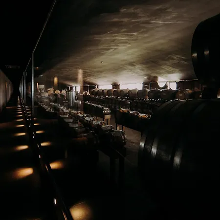 Opera 02 Farma Castelvetro di Modena