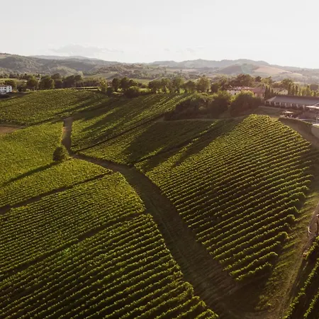 Farma Opera 02 Castelvetro di Modena