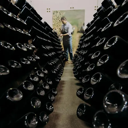 Farma Opera 02 Castelvetro di Modena