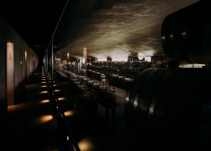 Opera 02 Фермерский дом Кастельветро-ди-Модена