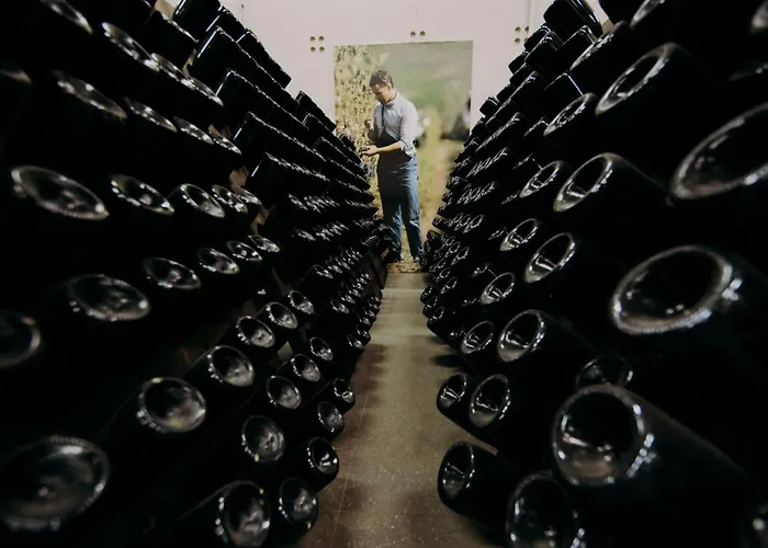 Фермерский дом Opera 02 Кастельветро-ди-Модена