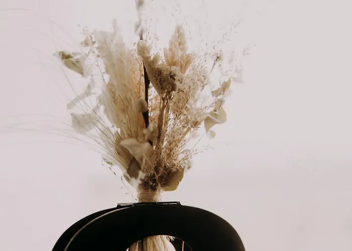 Opera 02 Фермерский дом *