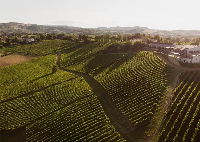 Lantgård Opera 02 Castelvetro di Modena